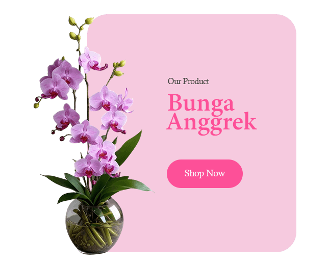 Produk Home Ocha Florist 2 Bunga Anggrek